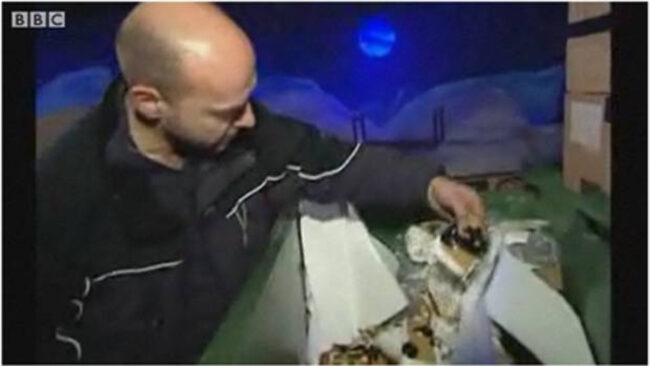 Skjermbilde fra BBCs innslag om den ødelagte Pepperkakebyen i november 2009.